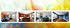 Untitled design (49)_edited.jpg