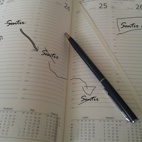 Procrastinación emocional