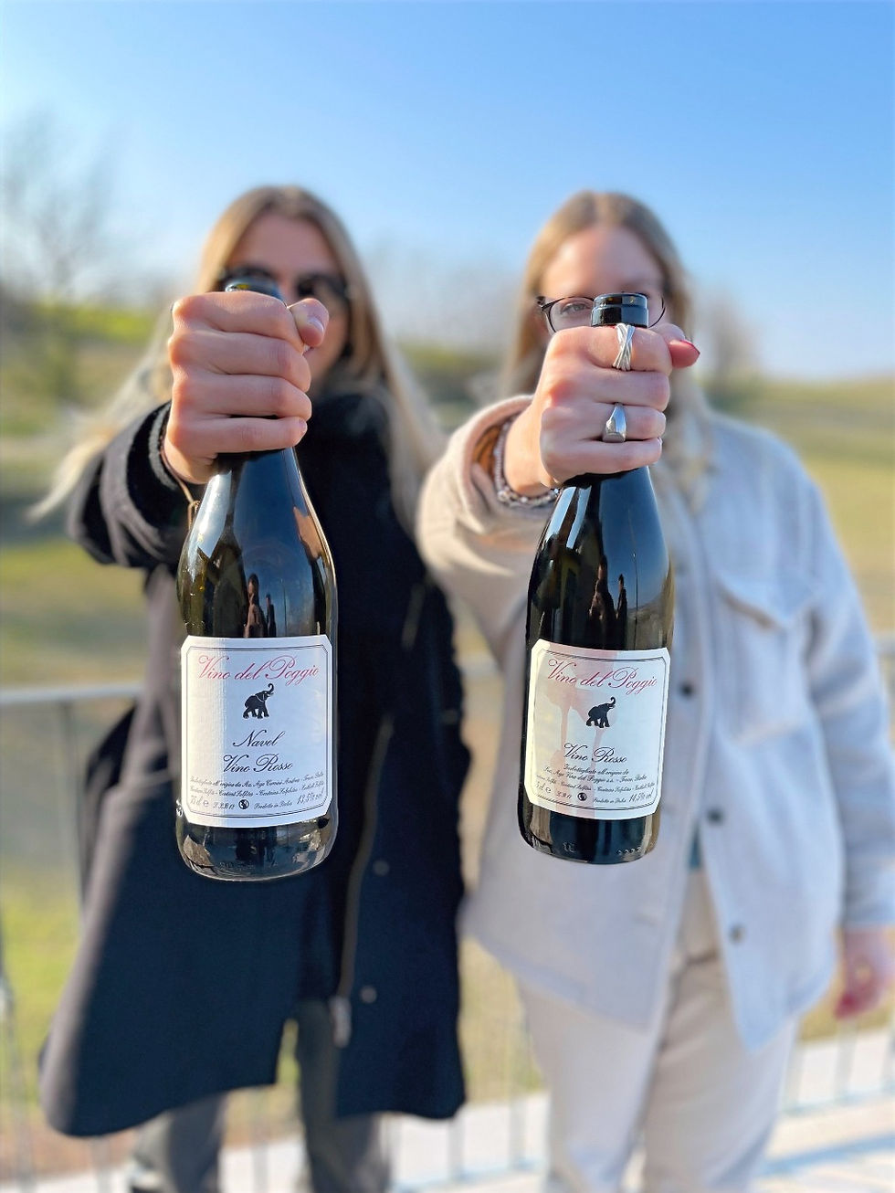 I vini piacentini con il sapore del naturale