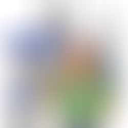 IL CAMMINO E L'INCLUSIONE