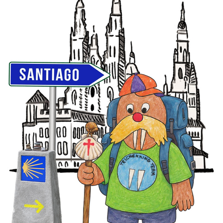 IL CAMMINO E L'INCLUSIONE