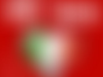 FESTA CANORA A PADERNO DUGNANO