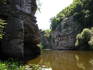 Буки.jpg