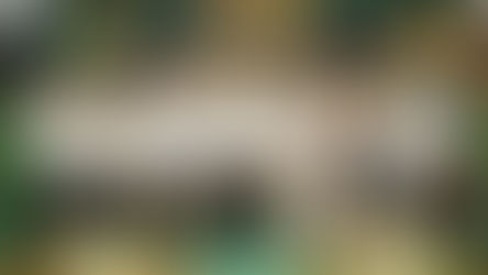 APPROVED STANDING COMMITTEES 
PER SB RESOLUTION NO. 12-002, SERIES OF 2025, DATED JULY 7, 2025