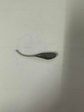 Thumbnail: Shadtail - 10 pcs - 2" - Ol' Blue Tackle