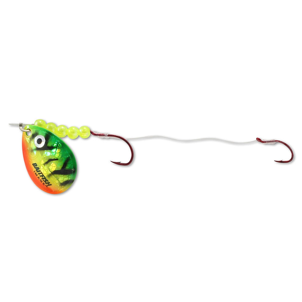 Thumbnail: Northland Fishing Tackle "Holographic" Baitfish Spinner - 60" - Size 3 Blade