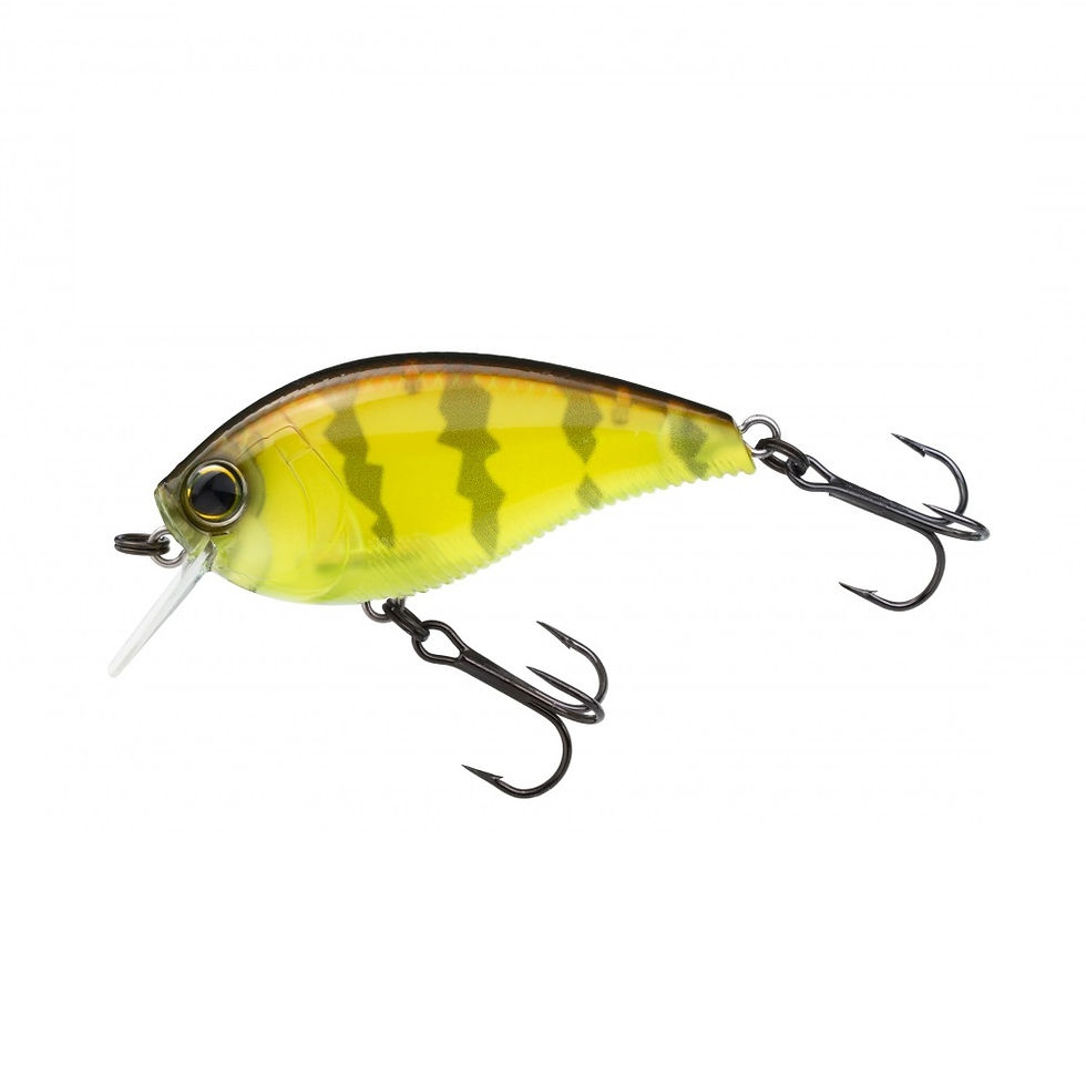 Thumbnail: Yo-Zuri 3DB Crank 1.5 Squarebill Floating
