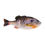 Thumbnail: Berkley PowerBait Pro Design Mike Iaconelli Gilly - 90 MM