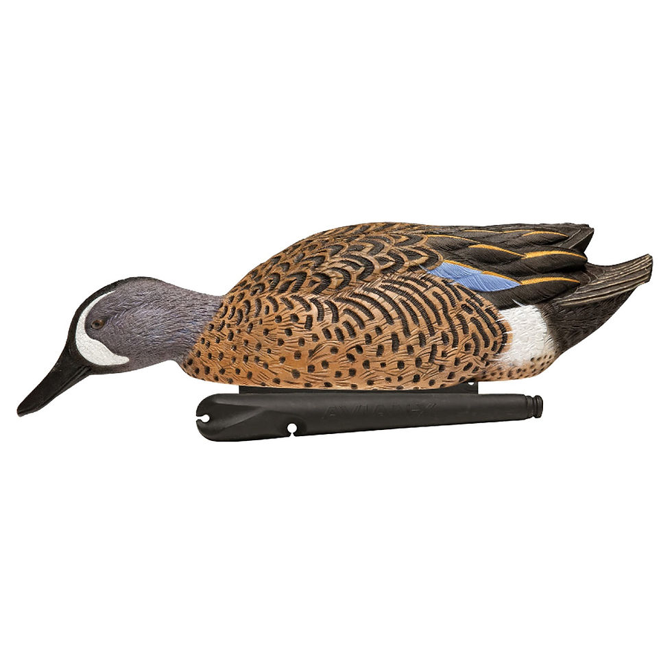 Thumbnail: Avian-X Topflight Blue-Winged Teal - 6 Decoys - AVX-AVX8080