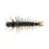 Thumbnail: YUM Hellgrammite - 8 pk