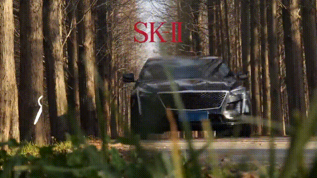 SKII GLOBAL CAMPAIGN