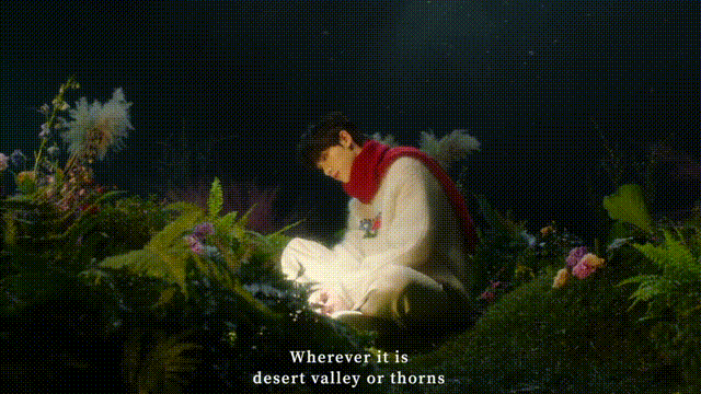 TNT – DREAMLAND GROCERY