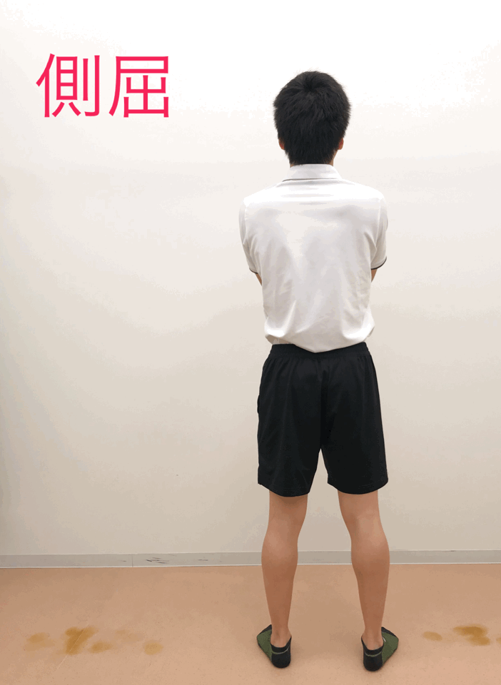 IMB_8lKpBt.GIF
