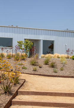 Bush Street by Preliminary Research Office