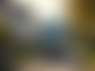 Why Choosing a Removalist in Canberra Makes Moving Easier