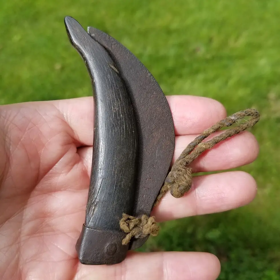 Thumbnail: Primitive cattle horn pruning pocket knife 1800's