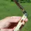 Thumbnail: Case XX BW10098 SS Collectors Club Life Member pocket knife combo 1994