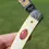 Thumbnail: Case XX BW10098 SS Collectors Club Life Member pocket knife combo 1994