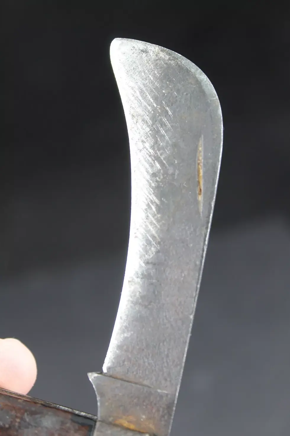Thumbnail: Shapleigh Hardware Co. hawkbill pocket knife 1899