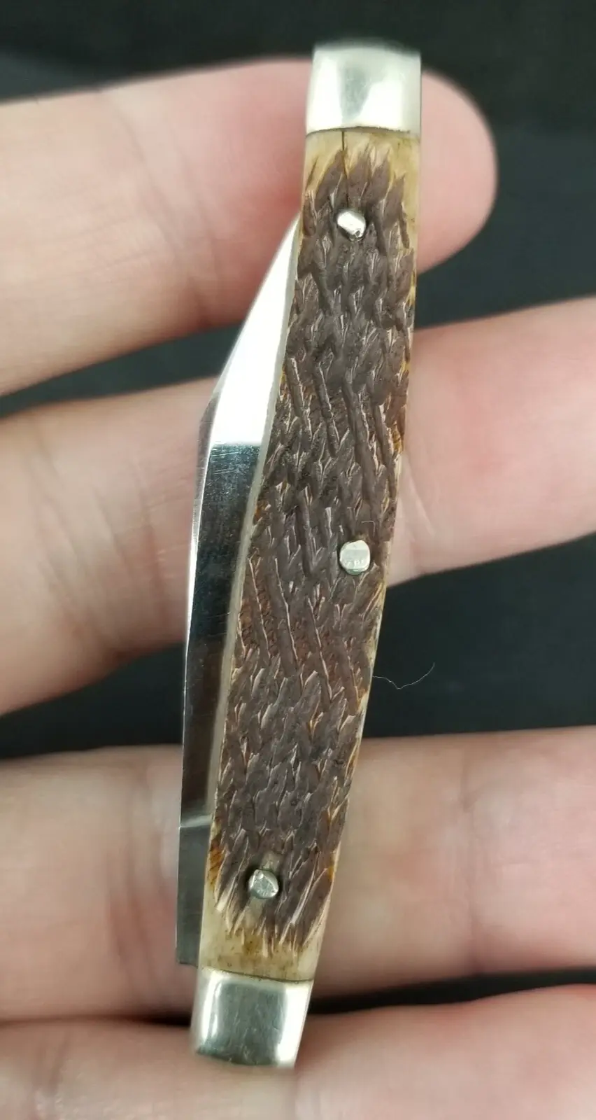 Thumbnail: Sabre pocket knife