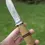 Thumbnail: West-Cut fixed blade knife