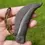 Thumbnail: Primitive cattle horn pruning pocket knife 1800's