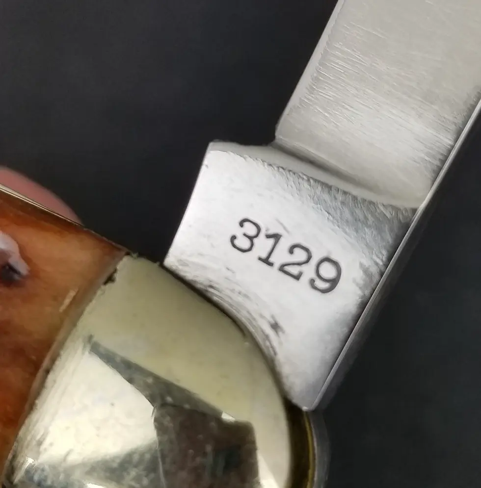 Thumbnail: Schmidt & Ziegler 3129 muskrat pocket knife