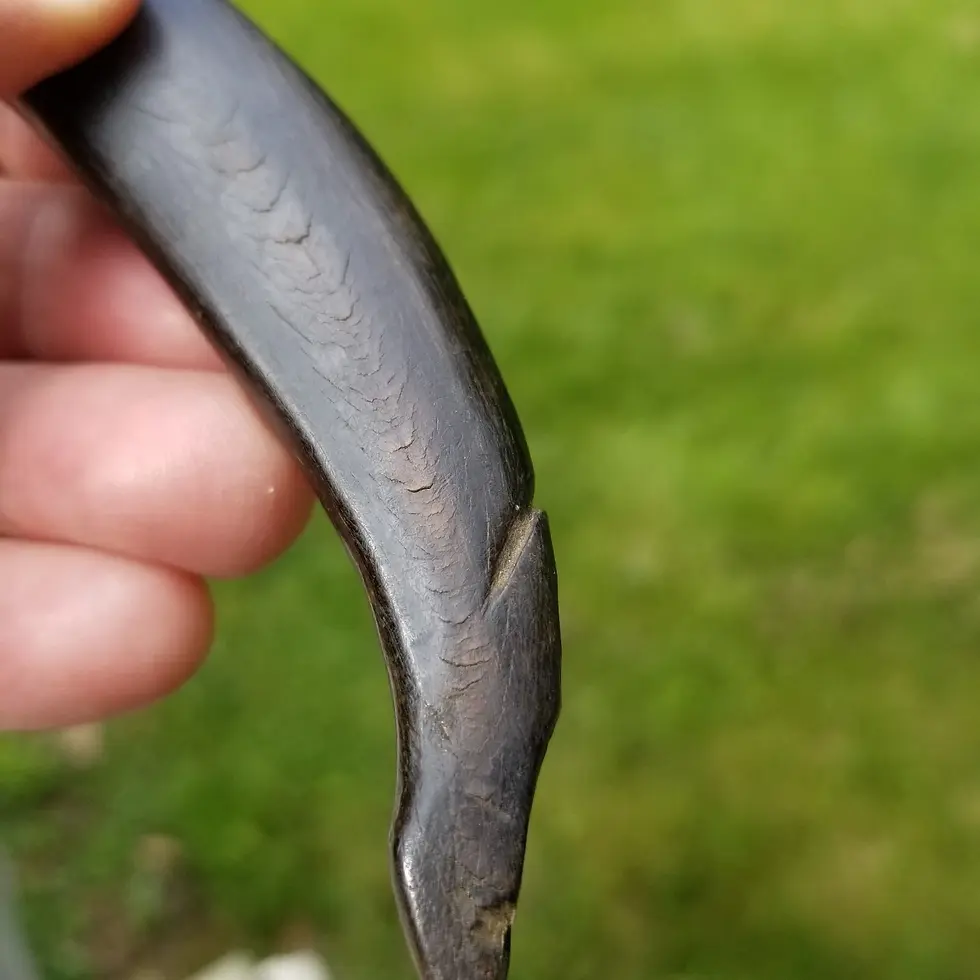 Thumbnail: Primitive cattle horn pruning pocket knife 1800's