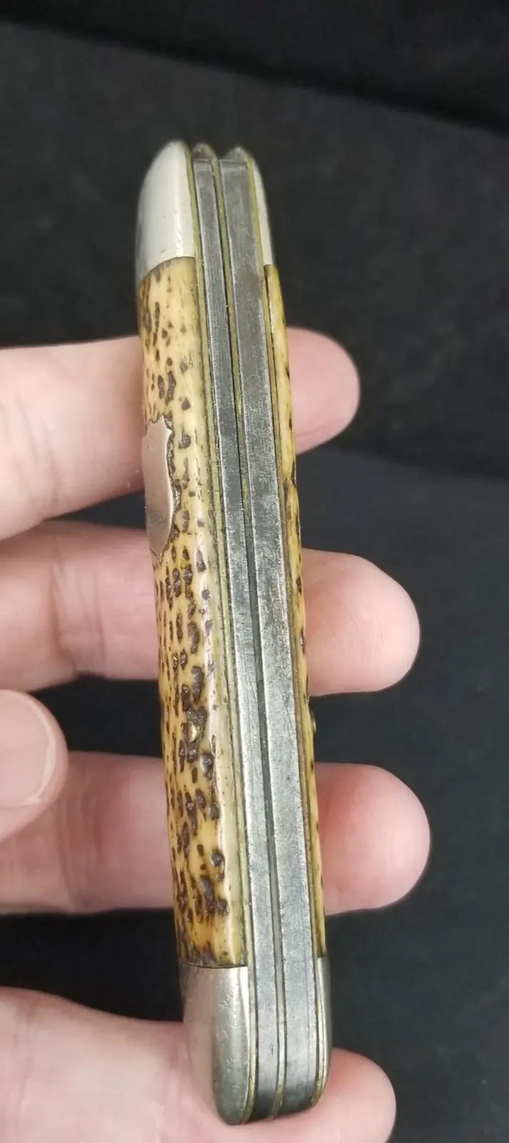 Thumbnail: Mystery pocket knife