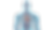 Vascular.png