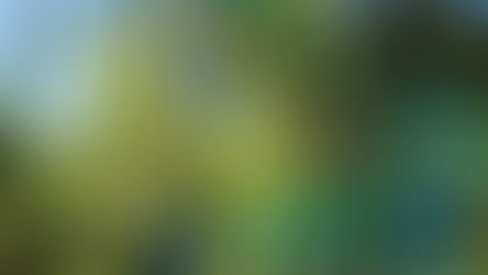 Playgrounds and Your Child’s Brain Injury Liability