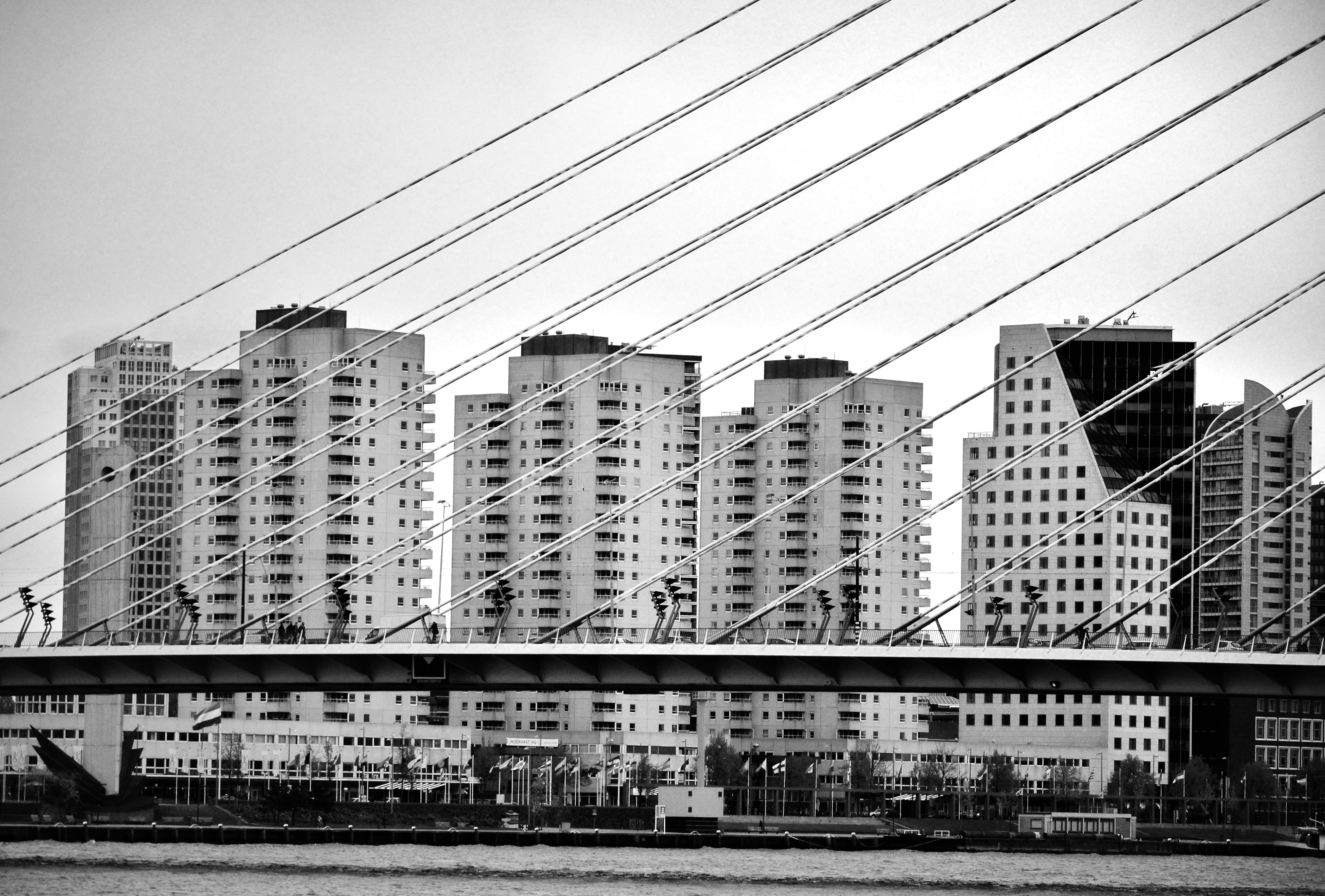 DSC_4131 n& b