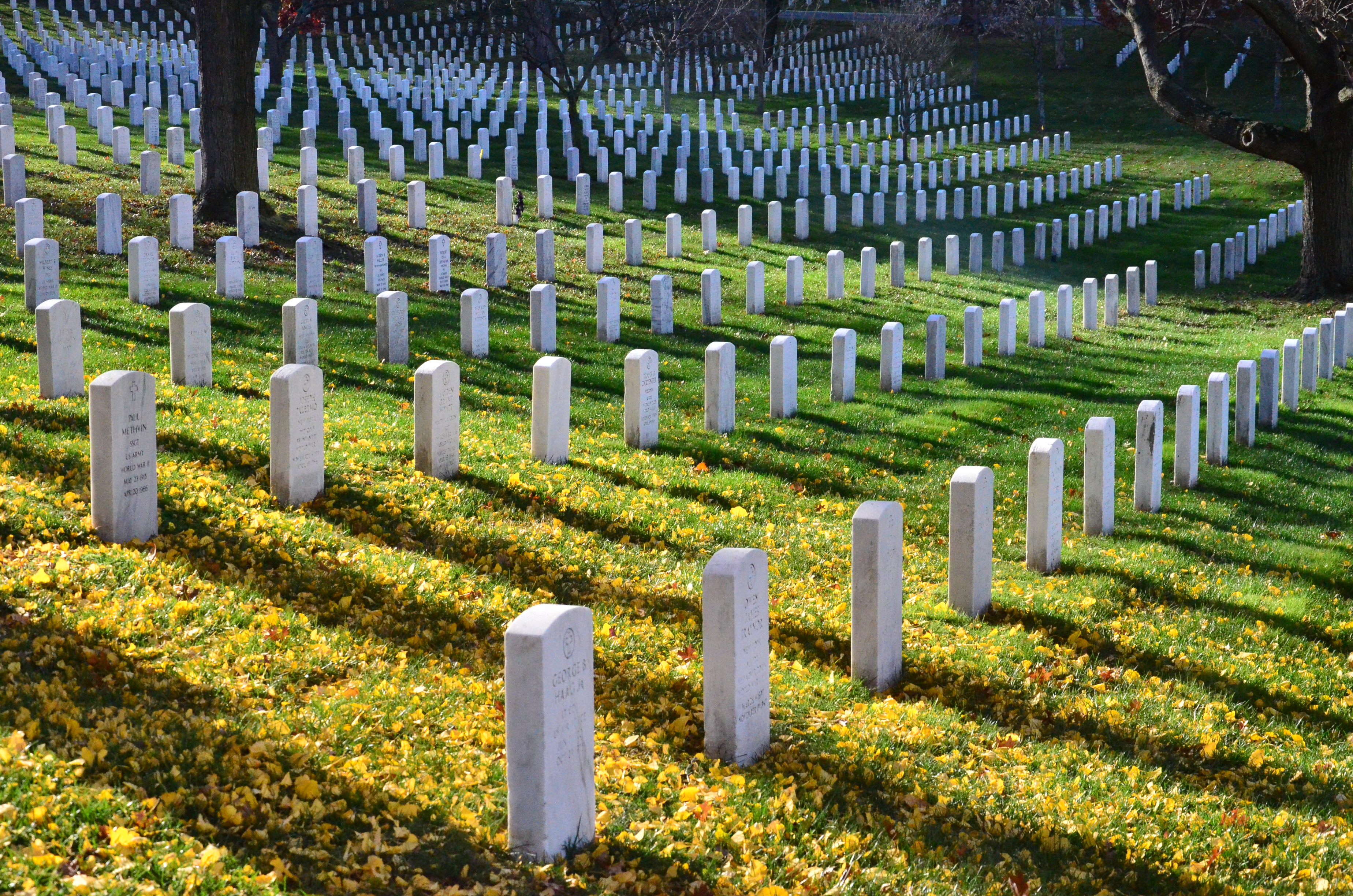 Washington (7)