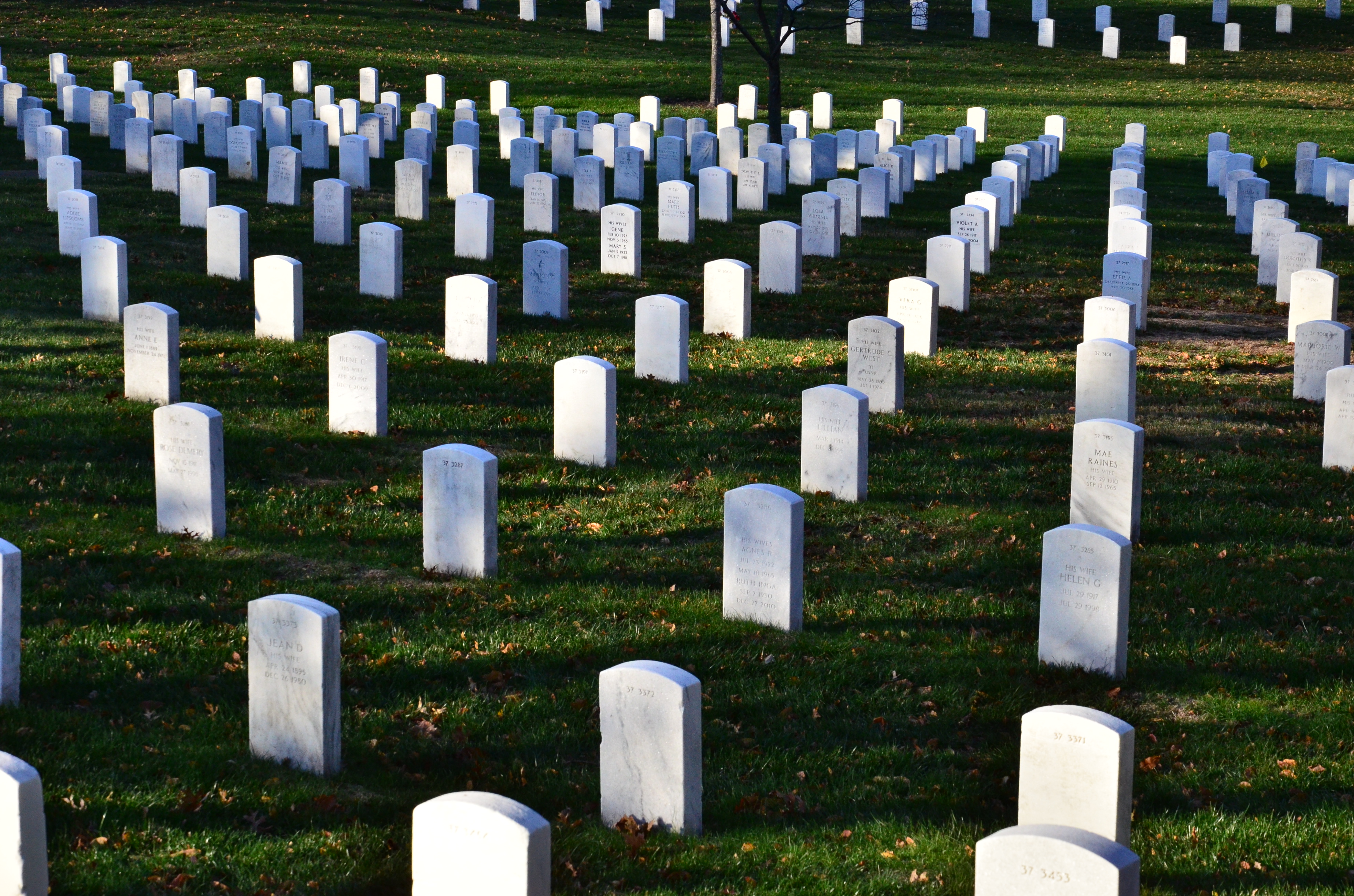 Washington (10)