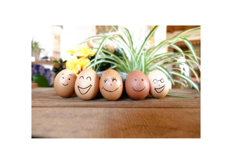 Ma vision d'expert au service de vos horizons