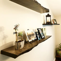 Maple Shelving