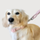 Thumbnail: No More Muddy Mess Dog Leash & Collar Set - Dusty Peach