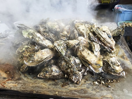 港の牡蠣小屋オープンします。