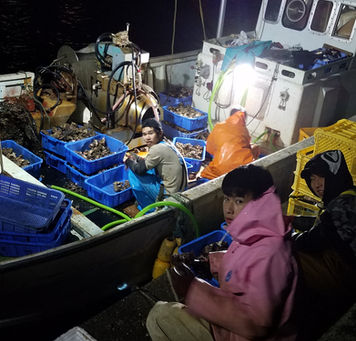 明日の分までのつもりが