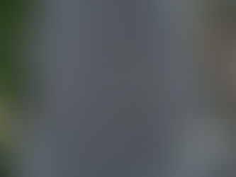 Flat Roofing in the GTA: Why Modified Bitumen Leads the Pack