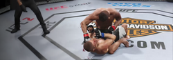 Dmart15 Remains Champ