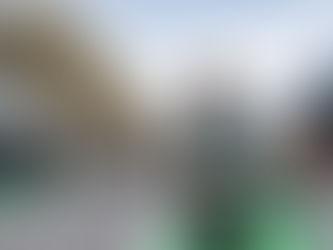 Rafael Suzuki escala o pelotão, conquista mais um top-10 no ano e fecha a temporada em nono