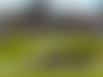 Rafael Suzuki tem grande domingo com 10º e 6º lugar em Curitiba