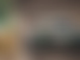 Stock Car: Rafael Suzuki faz o quinto melhor tempo nos treinos livres em Interlagos