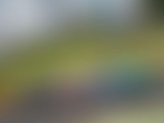 Rafael Suzuki aprova estreia com vitória e top10 na abertura do campeonato da Stock Car