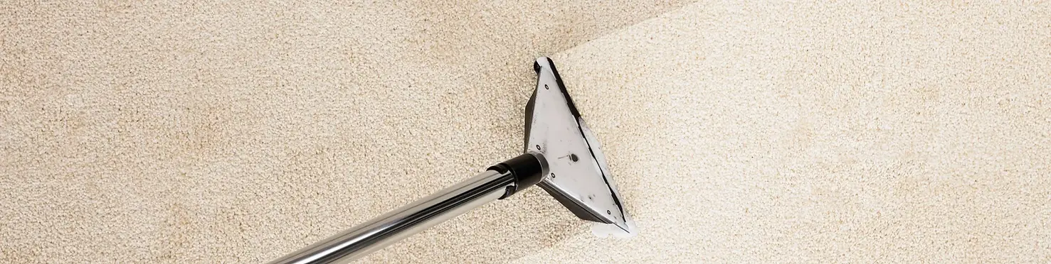 Carpet Cleaning Company _ Palm Beach Florida _ GDN All Around Services _ carpet being clea