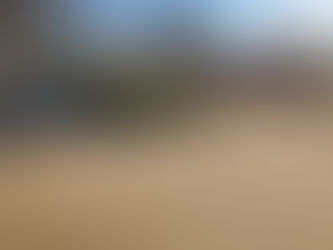 Plant List Spring 2026