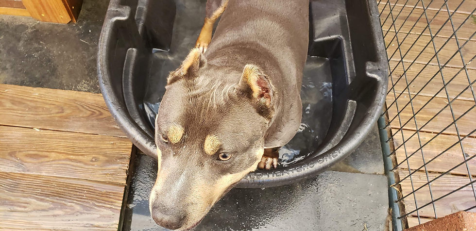 Need Name 3