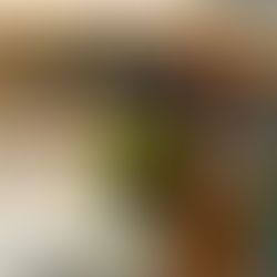 Boire ou conduire, il faut choisir...