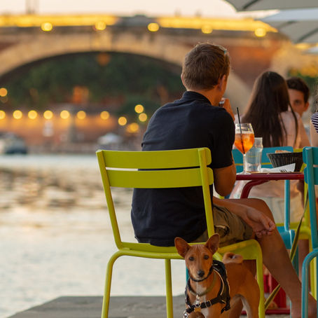 Boire ou conduire, il faut choisir...